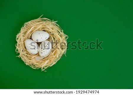 Happy Easter Card - space for text. Easter eggs in the nest on a green background.