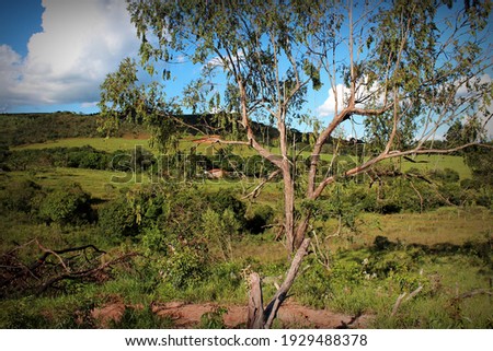 
Landscape of the municipality of Santa Rosa da Serra, state of Minas Gerais Brazil, February 22, 2019