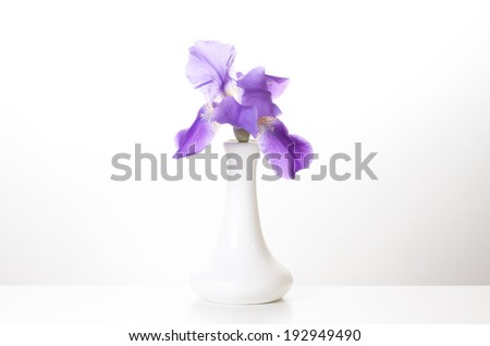 Beautiful  iris in white vase closeup image, interior design decoration mock up