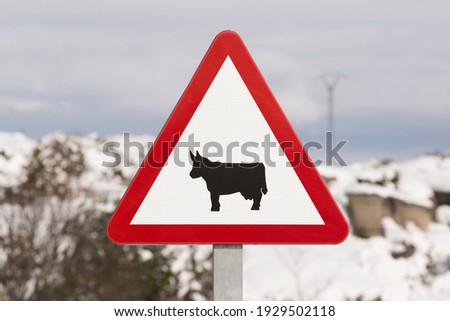 Spanish traffic sign: attention, passage of domestic animals with unfocused background.