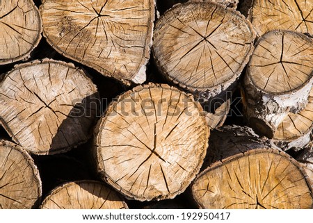 The stacked cut wood in the California sun.