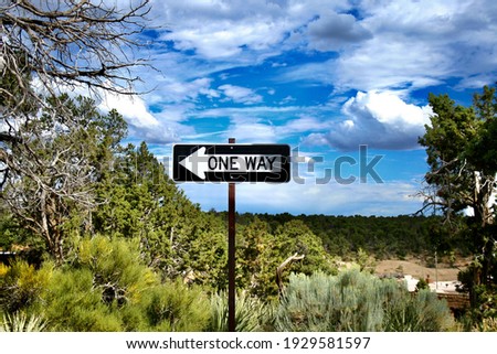 A one way sign in a succulent desert under a blue cloudy sky