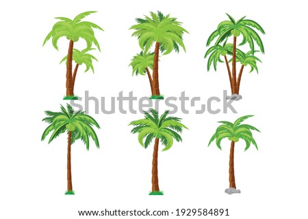 coconut tree collection, simple vector illustrations