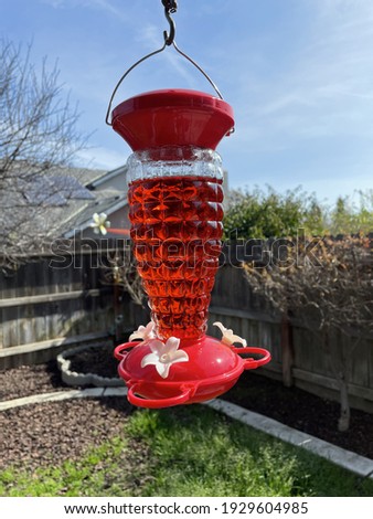 A vertical shot of a red hummingbird bird feeder hanging on the backyard