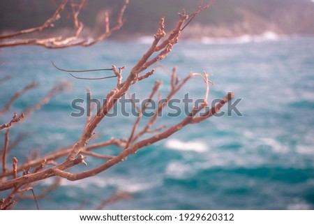Sea waves in Dubrovnik Croatia