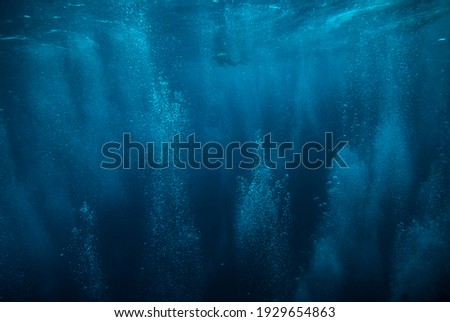 underwater bubbles, water bubbles. Maldives Royalty-Free Stock Photo #1929654863