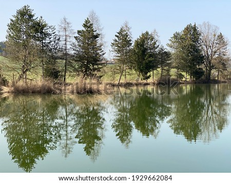 Gizlen pond (Gizlen Weiher) next to the natural protection zone Aargau Reuss river plain (Naturschutzzone Aargauische Auen in der Reussebene), Aristau - Switzerland (Schweiz)