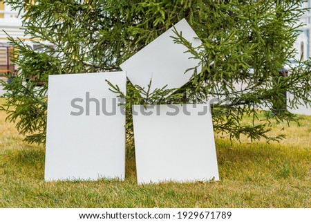 Three blank white canvases for painting stand on the lawn against the background of a green spruce