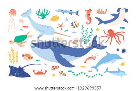 Set of sea and ocean underwater animals. Cute aquatic turtle, whale, narwhal, dolphin, octopus and colorful fishes. Childish colored flat cartoon vector illustration isolated on white background