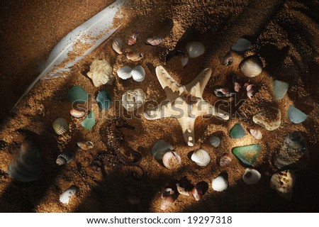 Sea shells and stones on sea-beach background. Photograph is made in lightbrush technique. Low-key lighting.