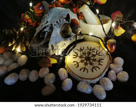 Animal Skull with Nordic Symbols and Runes Made of Rose Quartz with Mortar and Pestle for Witchcraft Altar, Wiccan, Asatru Royalty-Free Stock Photo #1929734111