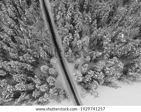 Winter drone view for the snow covered road and forest with fog in Estonia
