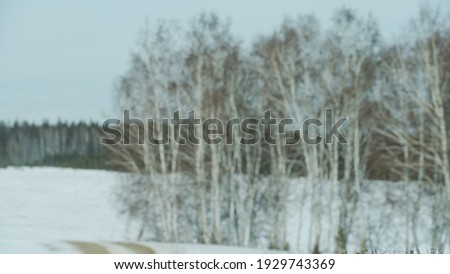 Blur picture background of forest at Russia, Europe during winter time. 
