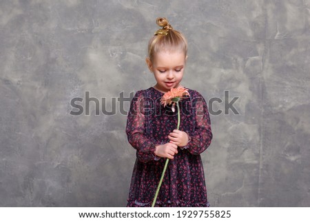 little girl in a beautiful dress sniffs a gerbera daisy flower on the background of an old wall. Girl with flower