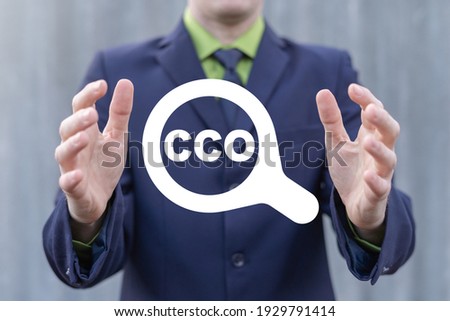 Business concept of CCO Chief Compliance Officer. Royalty-Free Stock Photo #1929791414