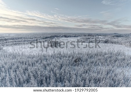 Drone shot of Lapland forest in winter.