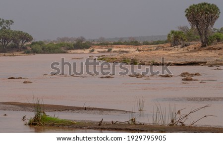 Galana river at Tsavo East Park, Kenya
