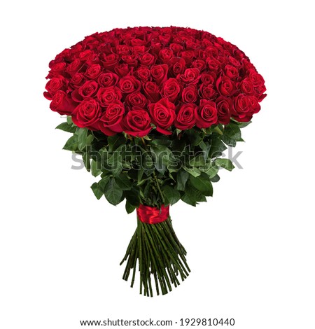 Red rose. Isolated large bouquet of 101 red rose on white. Royalty-Free Stock Photo #1929810440