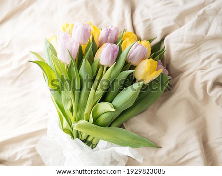 Beige spring aesthetics of a bouquet of tulips on the bed. Flower petals on a light linen sheet.