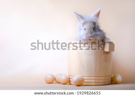 The front of brown gray fluffy rabbit with ear setting standing and looking at camera, the bunny put chin on the edge of the wooden barrel among easter egg on ovary background.
