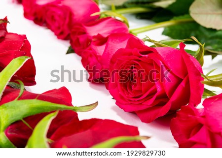 Close-up picture of red roses on the table