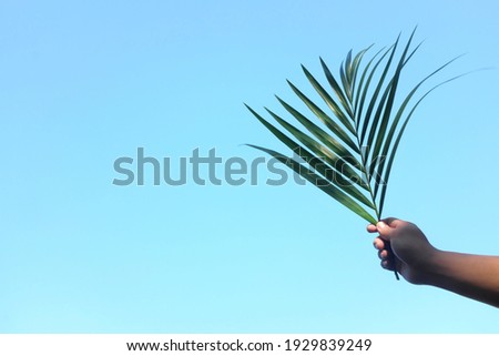 Silhouette of hand holding palm leaf on bright sky blue background with copy space. Palm Sunday celebration. Royalty-Free Stock Photo #1929839249