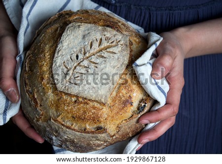 Female hands holding sourdough bread. Blue textured background.  Wheat pattern on the top of round brown bread. Healthy eating concept. 