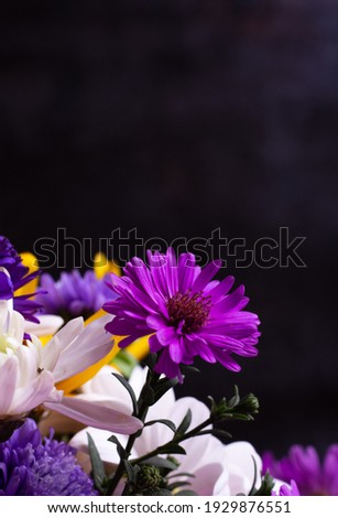 A bouquet of wildflowers. Multicolored flowers on a dark background. Space for copy space.