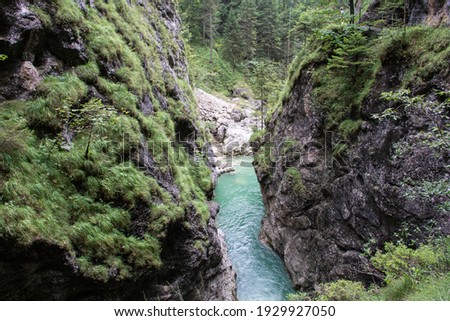 Wild river fights its way through a canyon in Tirol, Austria, surrounded by trees and rocks