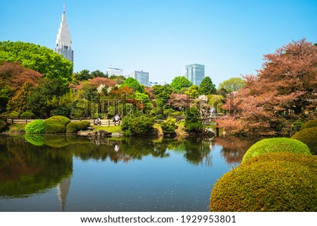 Landscape of Shinjuku Gyoen located at tokyo, japan with cherry blossom Royalty-Free Stock Photo #1929953801