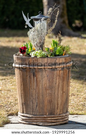 spring decoration with flowers and a lantern in a wood pot on a sunny day