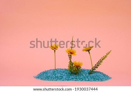 flowers laid on green sand on a yellow isolated background