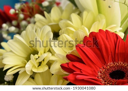 red gerbera in a bouquet. Selective Focus