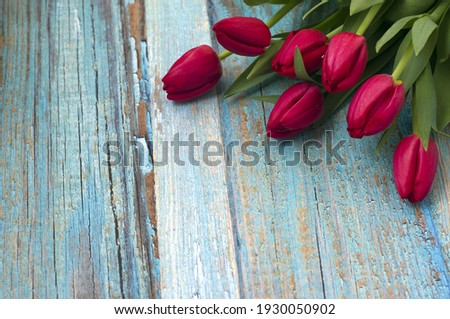 beautiful bouquet of red tulips on blue wooden background
