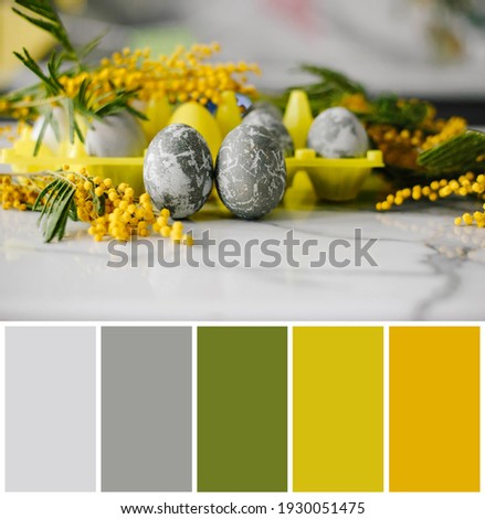 Happy Easter. Palette with Marble Eggs Mimosa on the Kitchen Table. Design and traditional decoration for the Holiday.