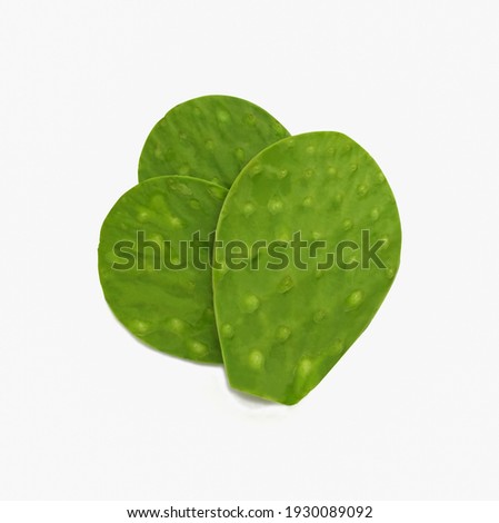 fresh green cactus leaf nopales on white background (Opuntia ficus-indica) Royalty-Free Stock Photo #1930089092