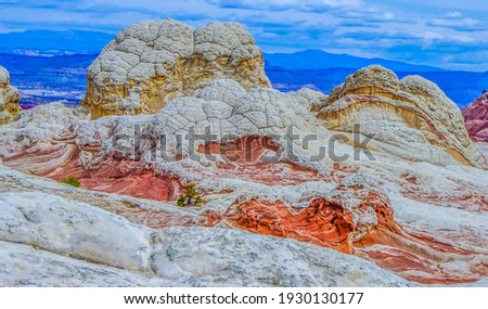Colorful sandstone strata of White Pocket Vermilion Cliffs National Monument Grand Staircase near Coyote Buttes North, Paria, BLM, Kanab, Utah, USA
