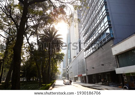 Sunset on a street with tall trees and business buildings on one side.