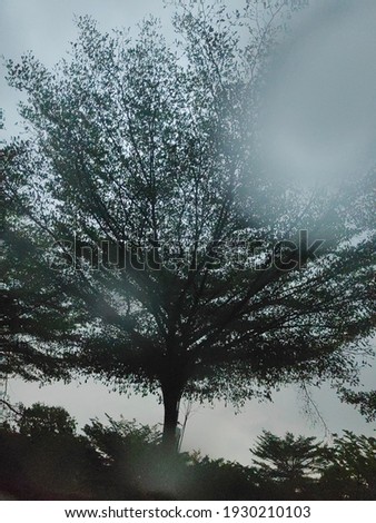 a picture of rainwater on the car windscreen with backdrop of a blurred view of the tree. Photoshoot from inside the car. 