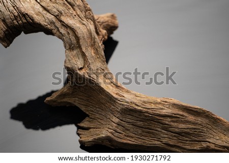 Natural drift wood with beautiful shape and textures for gardening layout or aquatic plants tank layout Royalty-Free Stock Photo #1930271792