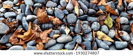 The pebbles are covered with dry leaves, the leaves are dry, and the pebbles are on the beach.