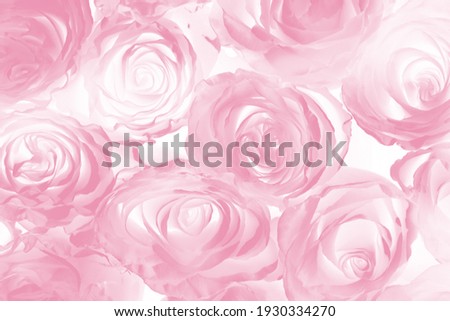Spring or summer colorful background of rose flowers, toned. Floral background. Pastel and soft floral cards. Natural texture of tenderness and love from pink roses close up. Royalty-Free Stock Photo #1930334270