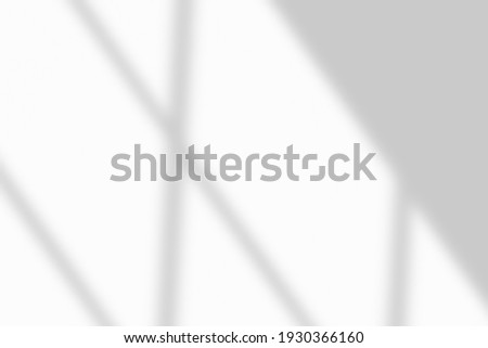 Window shadow drop on white wall background Royalty-Free Stock Photo #1930366160
