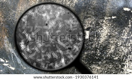 Searching for bacteria on surface Royalty-Free Stock Photo #1930376141