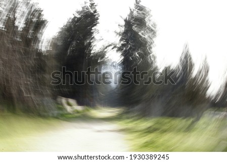 Artistic photography of abstract landscape with camera movement and slow shutter speed, to achieve movement and texture effects,