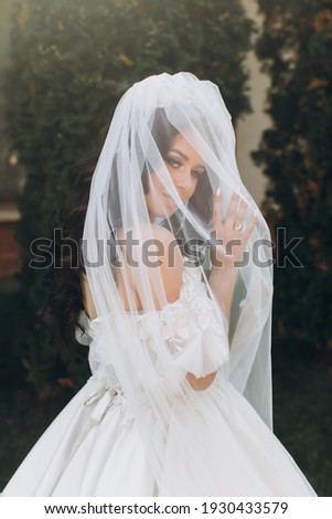 Portrait of beautiful luxury bride in veil