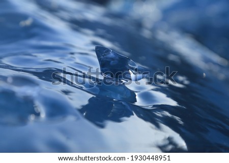 Selective focus of piece blue ice