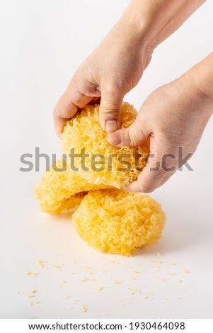 Multiple dried tremella on a pure white background