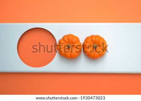 Pumpkins in a modern and creative layout. Minimal concept. Background colors, white and orange.                                    