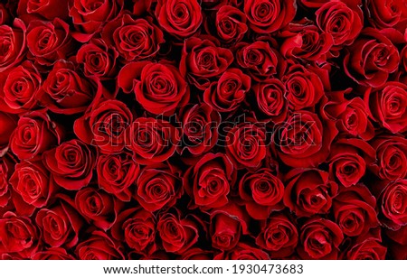 Natural red roses background. atmosphere of celebration, love and celebration